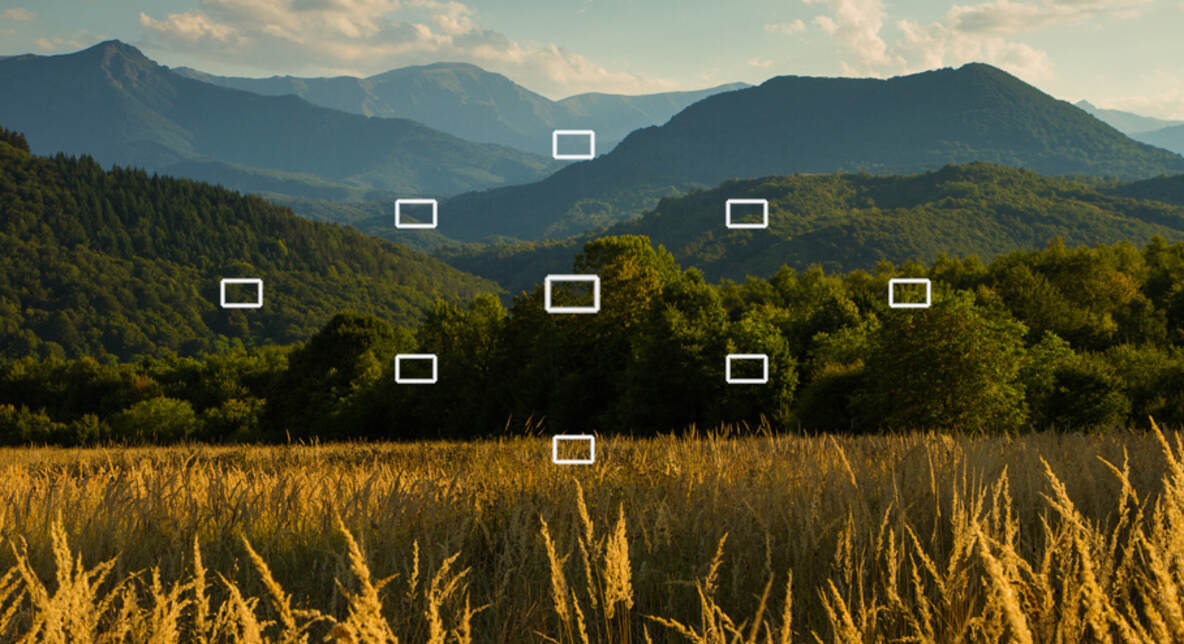 相机反射式测光模式对比（评价/中央/点测）